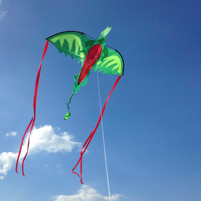 Melissa & Doug Winged Dragon Shaped Kite