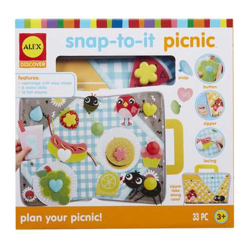 snap to it picnic toy in box