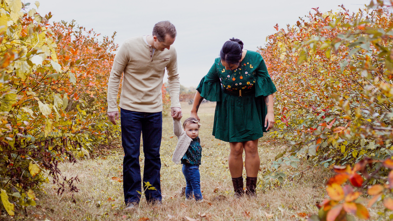 How to have Fun in Fall