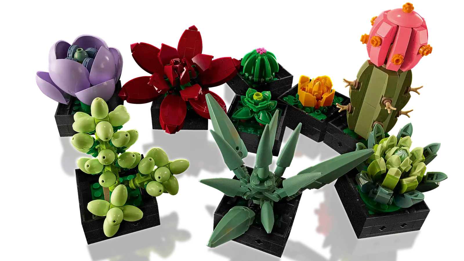 Lego Succulents (10309)