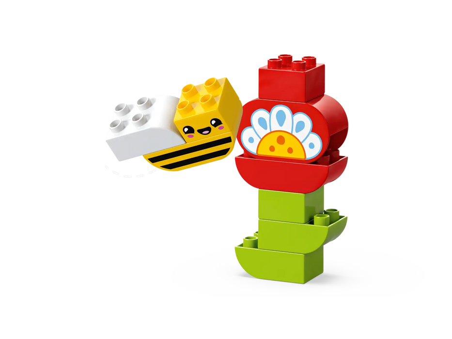 Lego Creative Garden & Flowers (10444)