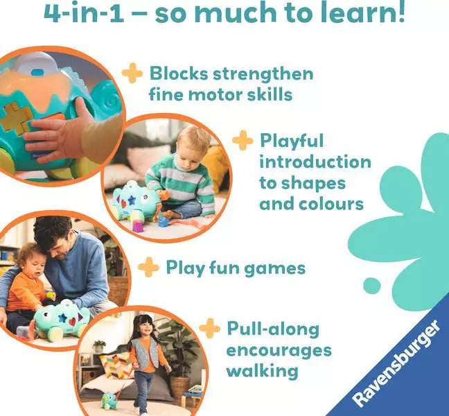 Color & Shape Sorter: Chameleon