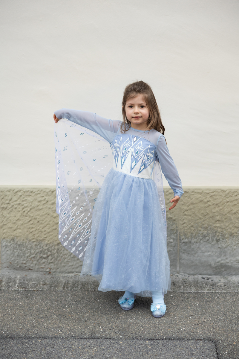 Once Upon a Princess Winter Princess Dress