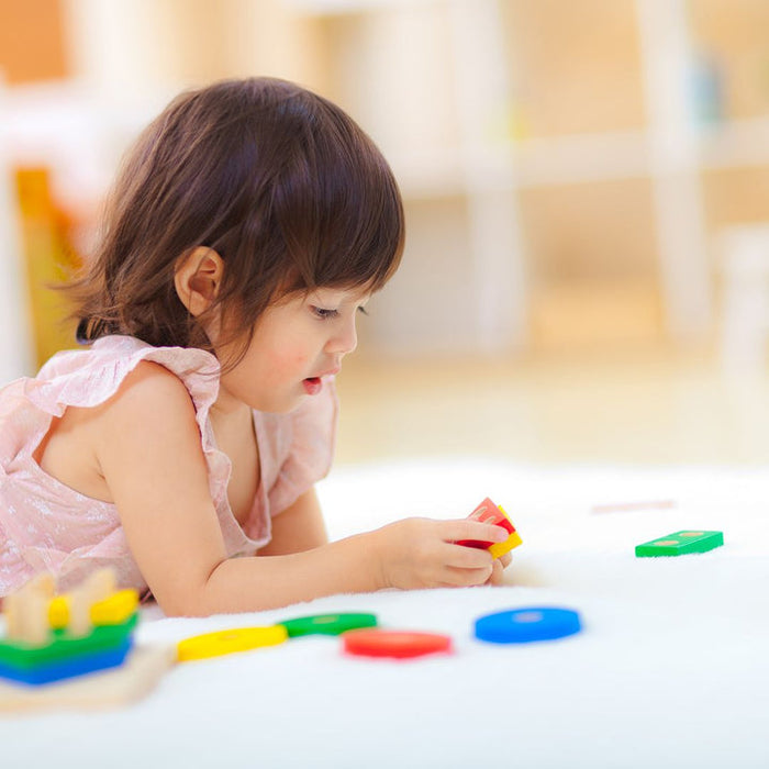 Plan Toys Geometric Board Sorting