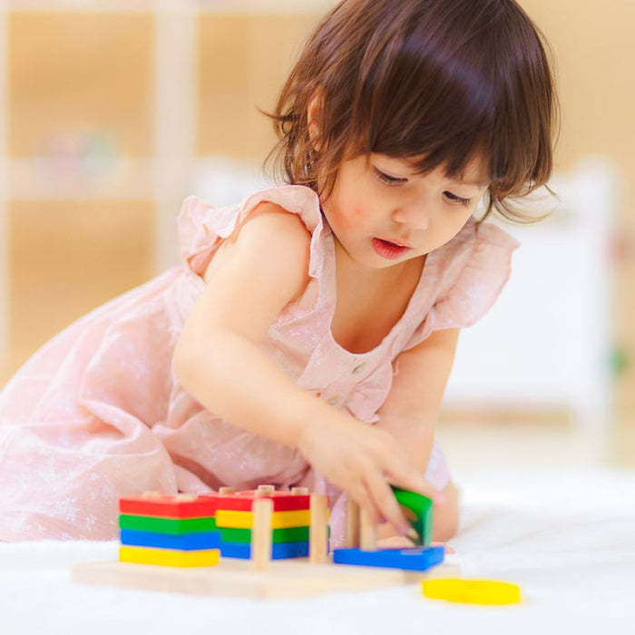 Plan Toys Geometric Board Sorting