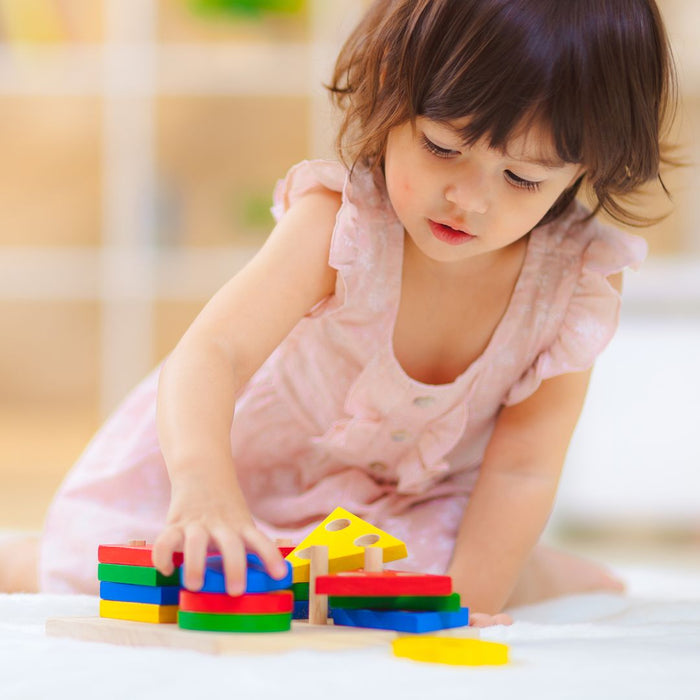 Plan Toys Geometric Board Sorting