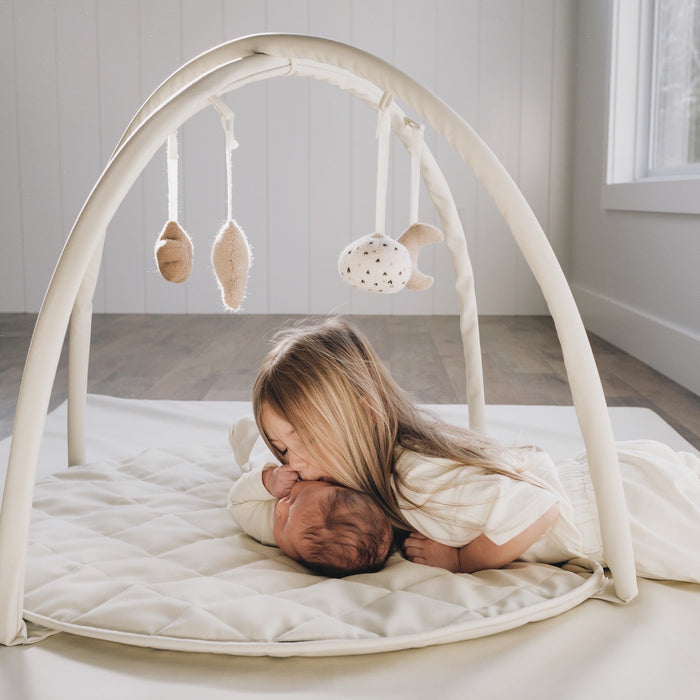 Baby Activity Gym