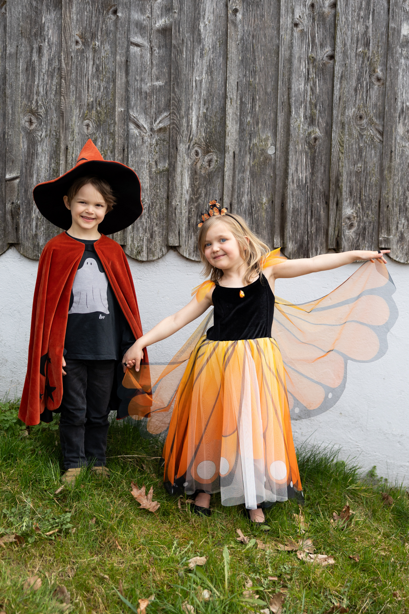Butterfly Twirl Dress with Wings & Headband