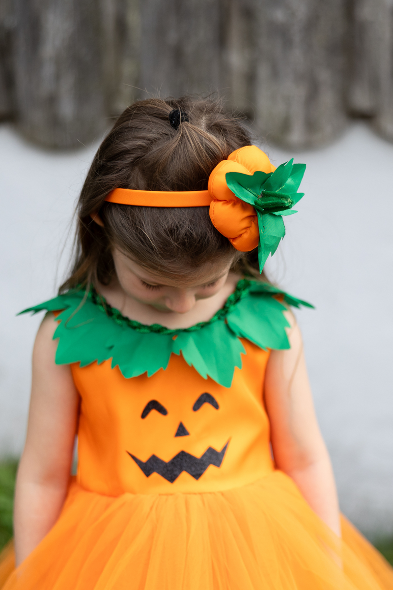 Pumpkin Patch Princess Dress