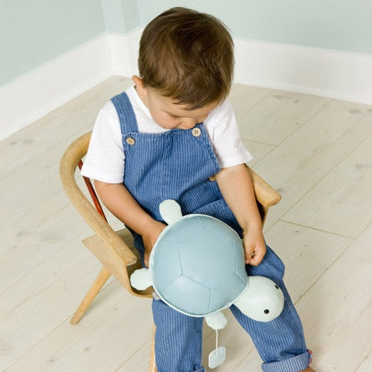 Little Big Friends Emilie the Turtle – Soft Musical Ocean Animal Toy with 3 Melodies (Ages 0+)