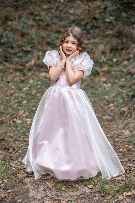 Great Pretenders Platinum Princess Gown, Size 7-8