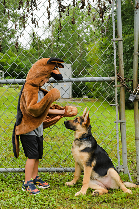 Great Pretenders German Shepherd Dog Cuddle Cape, Size 4-6