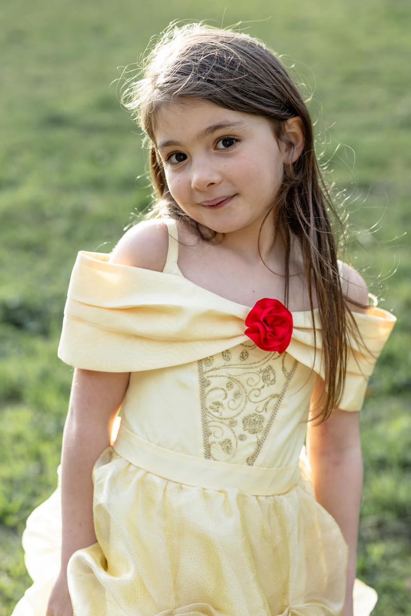 Once Upon a Princess Beauty Dress