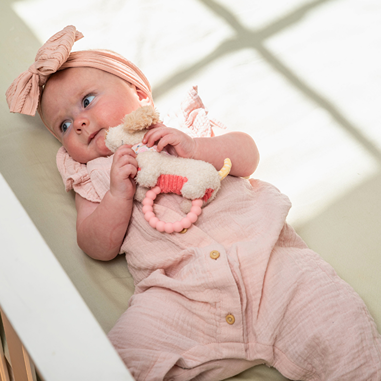 Mary Meyer Dancing Dachshund Teether Rattle 6" – Soft Baby Dog Sensory Teether