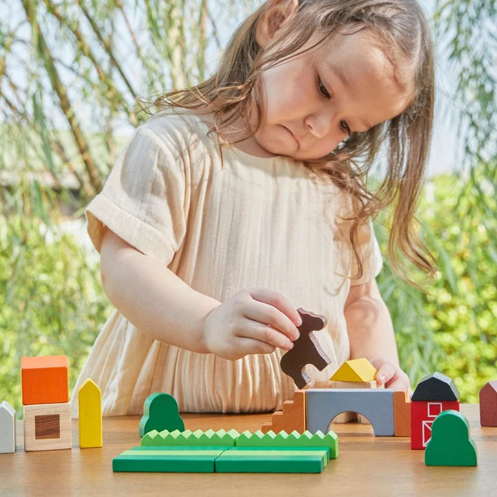 Plan Toys Country Blocks