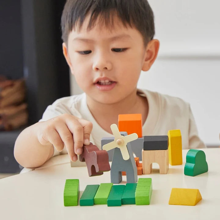 Plan Toys Country Blocks