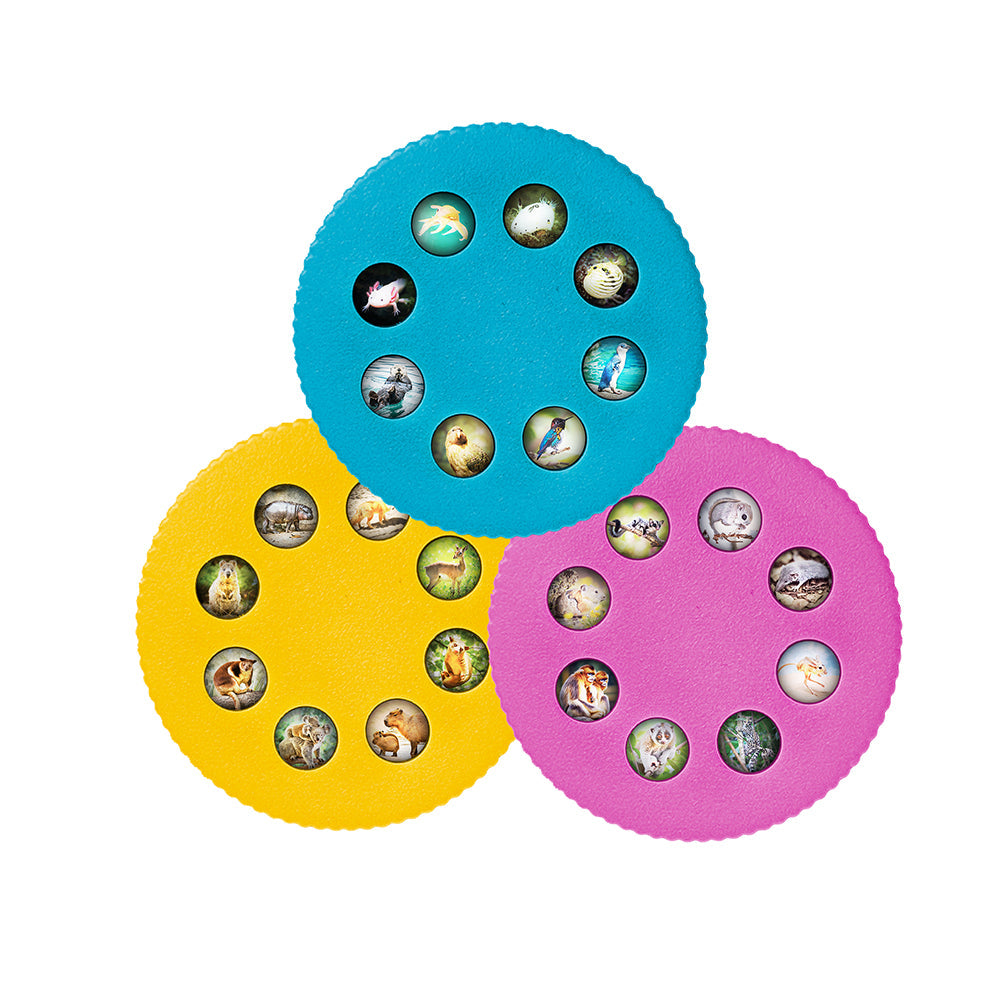 Thames & Kosmos Wonder Lights: Cute Animals – Educational Projector Flashlight