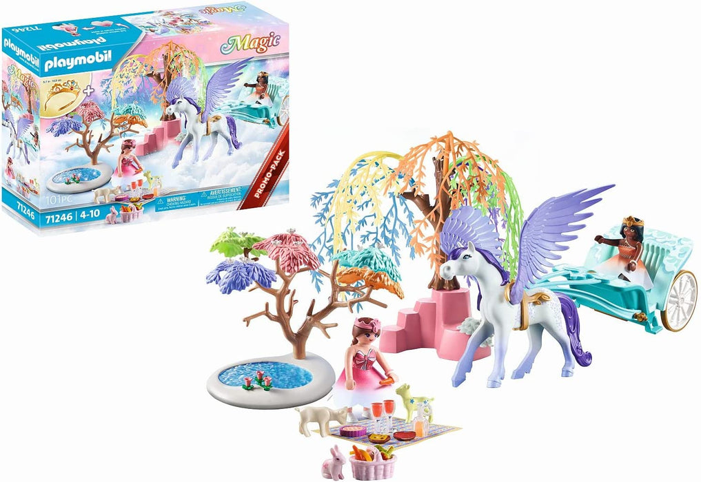 Picnic with Pegasus Carriage