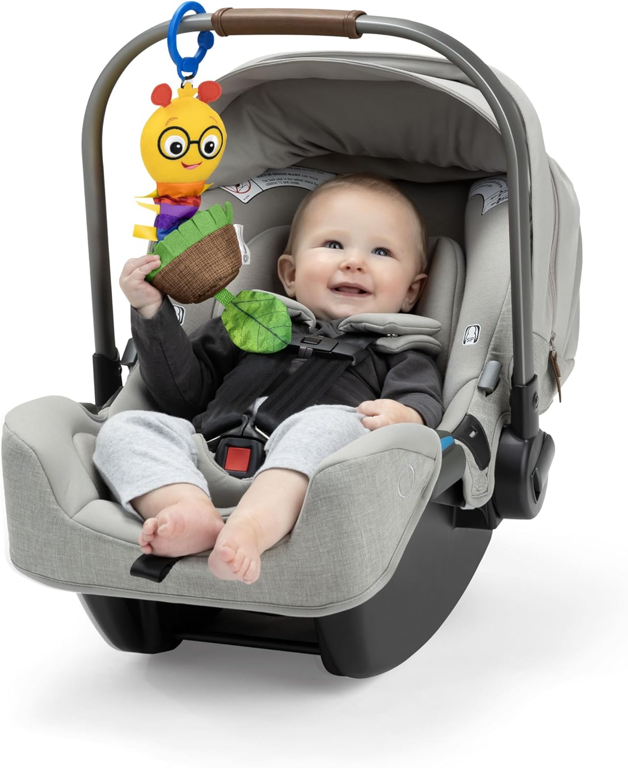 Baby Einstein Cal-a-Puller Pull & Shake Toy