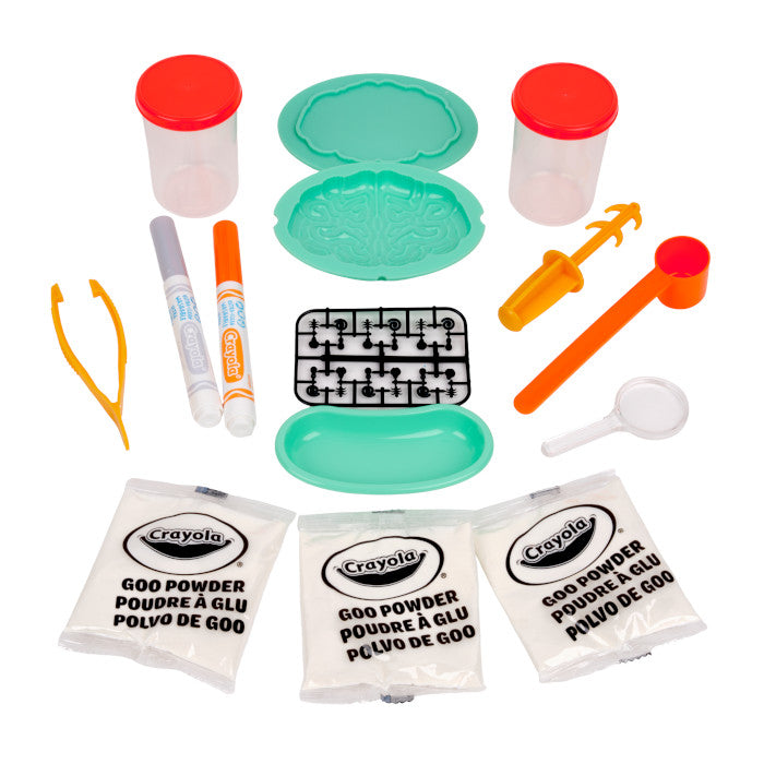 Crayola Goo Brain Surgeon – DIY Mess-Free Slime Brain Dissection Activity (Ages 6+)