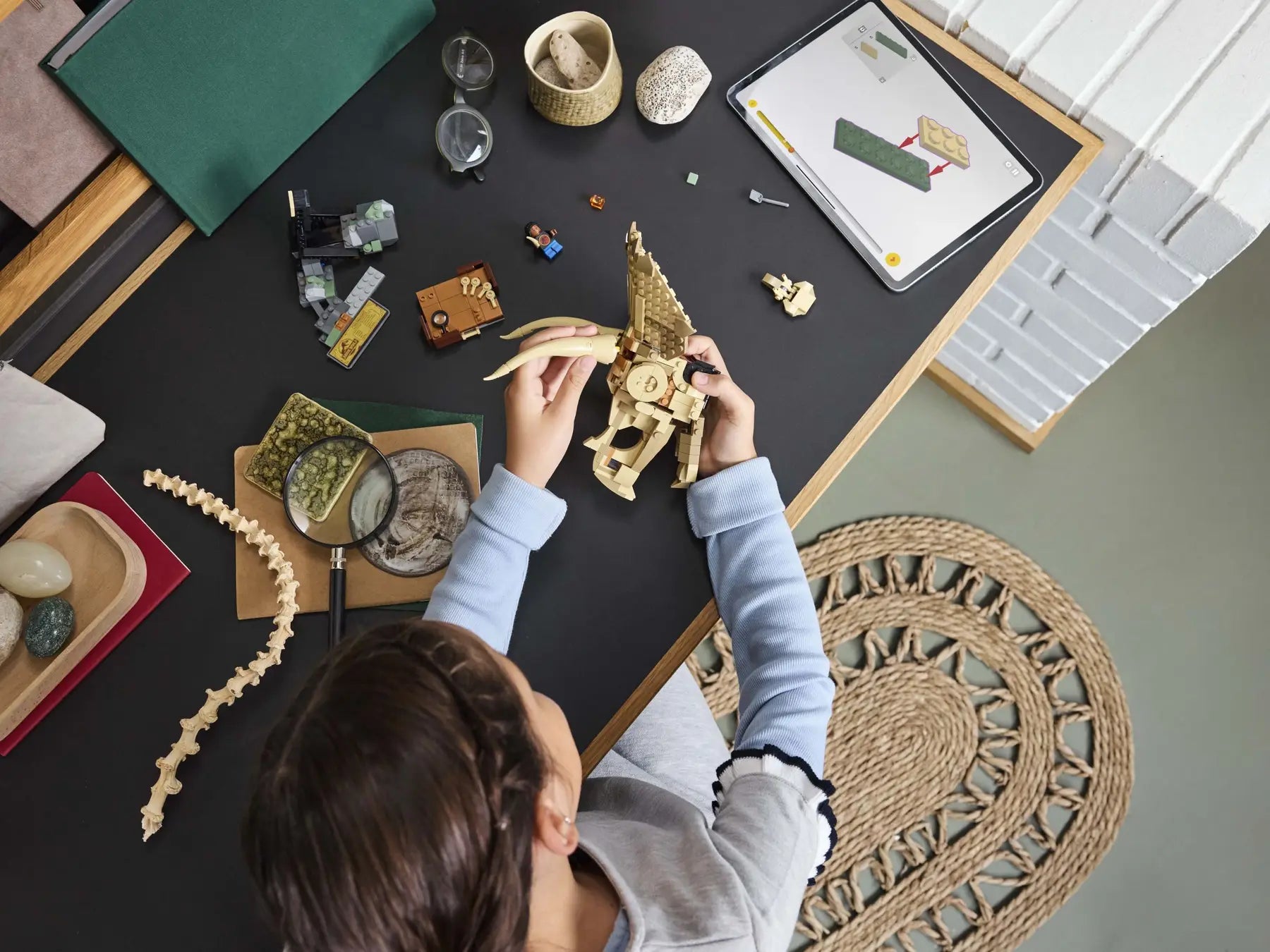 Lego Dinosaur Fossils: Triceratops Skull (76969)