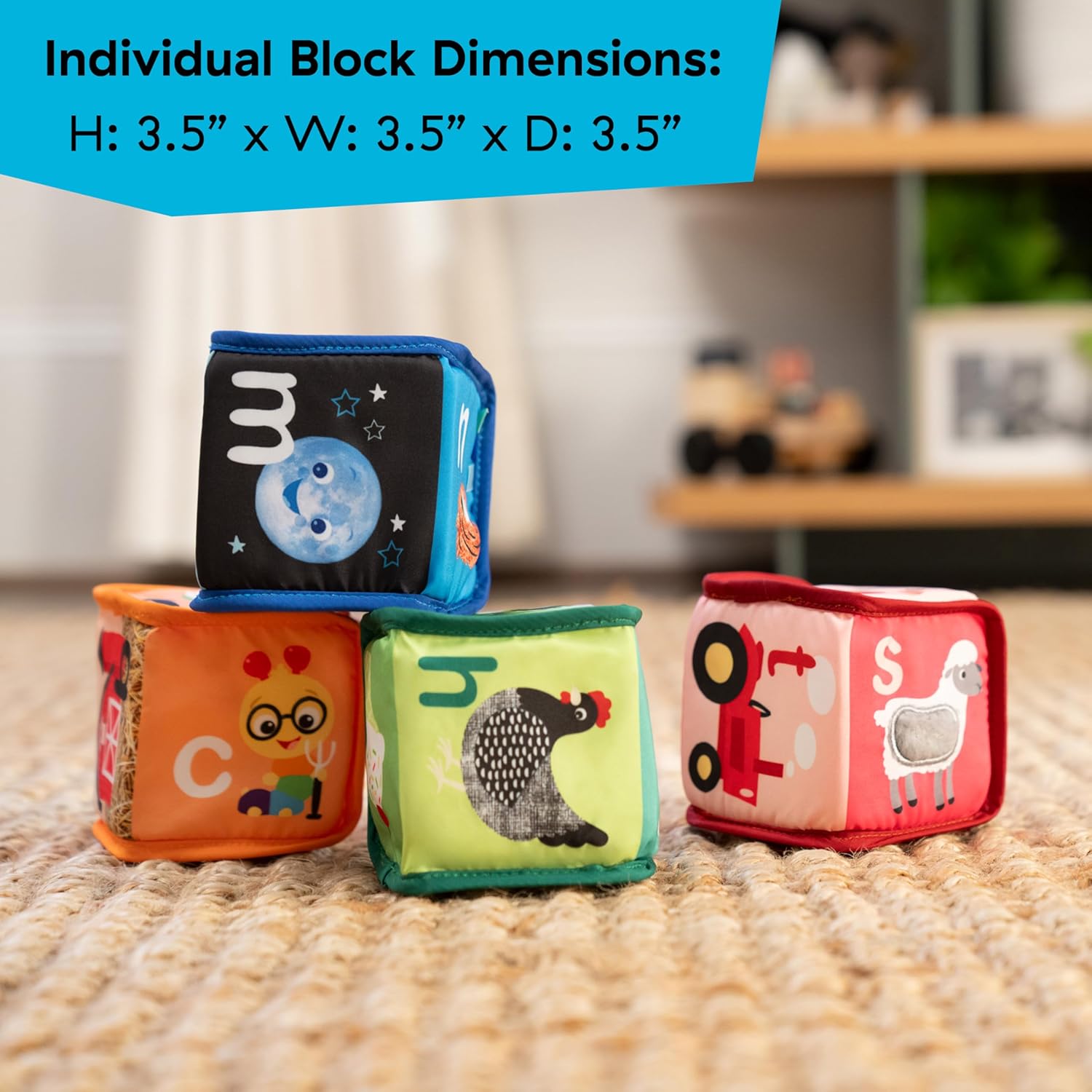 Baby Einstein Farm ABC Blocks