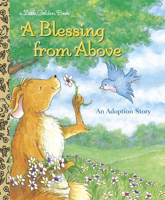 A Blessing from Above: An Adoption Story