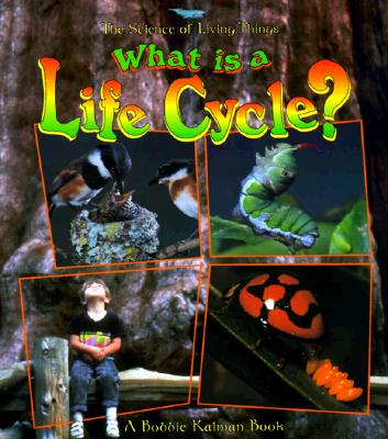 What Is a Life Cycle?