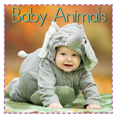 Baby Animals