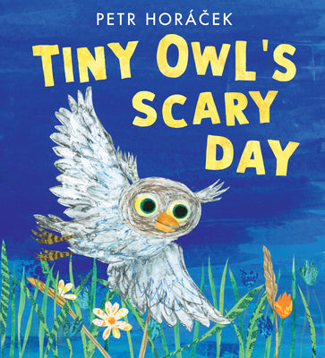 Tiny Owl's Scary Day