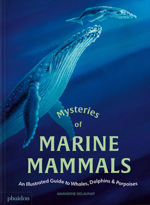 Mysteries of Marine Mammals: An Illustrated Guide to Whales, Dolphins, and Porpoises