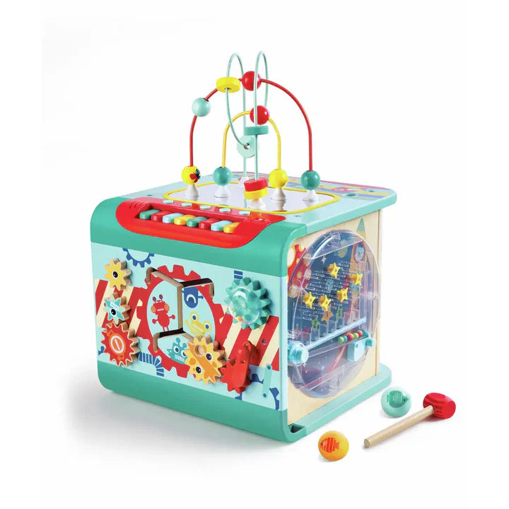 Hape Explore and Learn Magic Cube