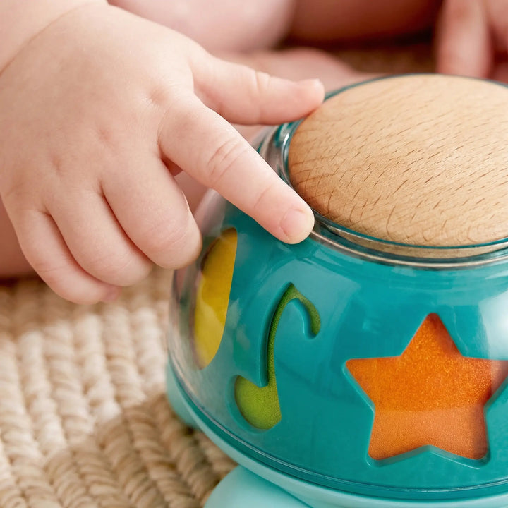 Hape Twist & Tune Turtle