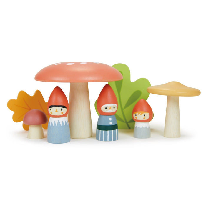  Playmobil Fairies with Toadstool House Building Kit : Toys &  Games