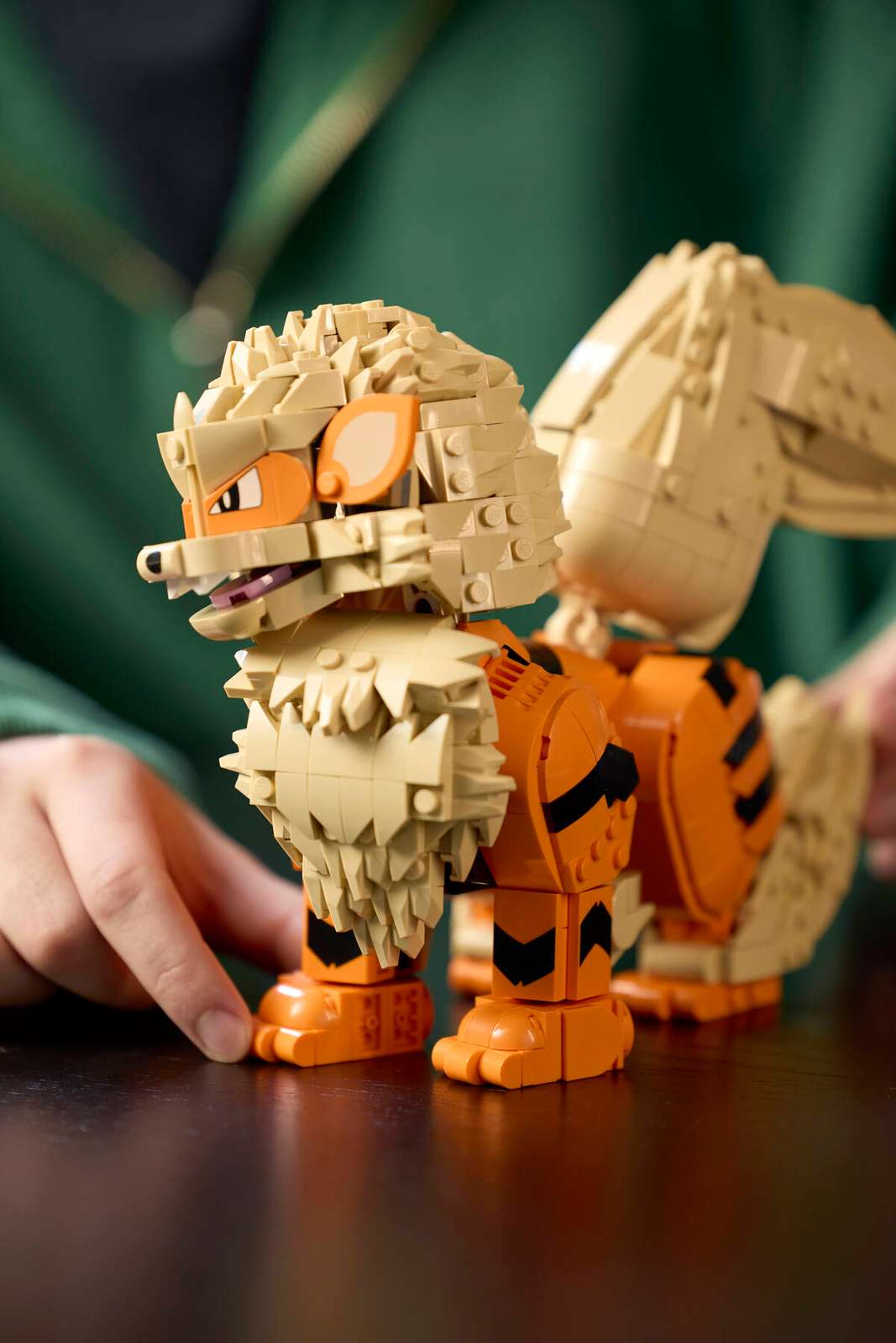 LEGO Pokémon Arcanine (72160) | Building Set