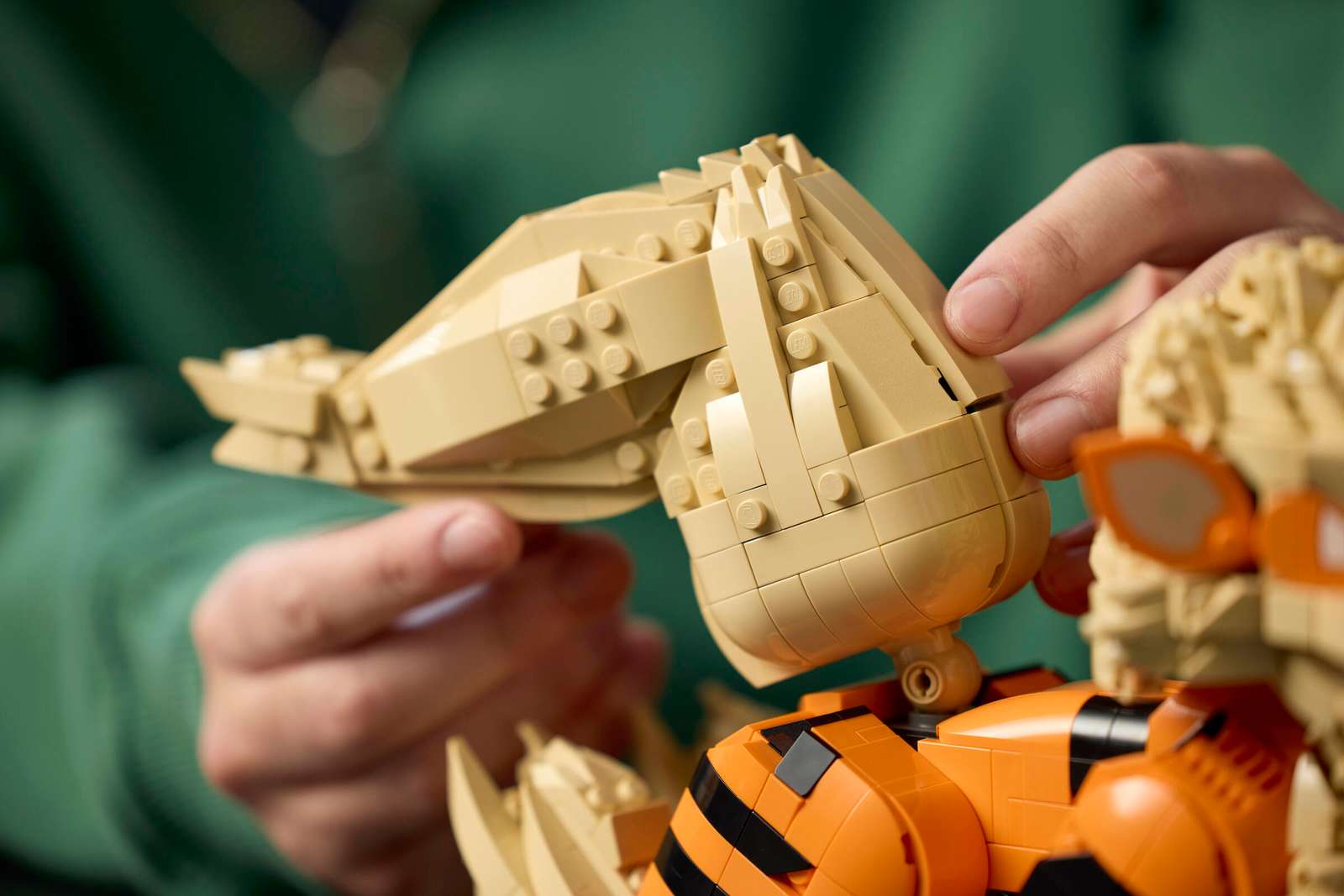 LEGO Pokémon Arcanine (72160) | Building Set