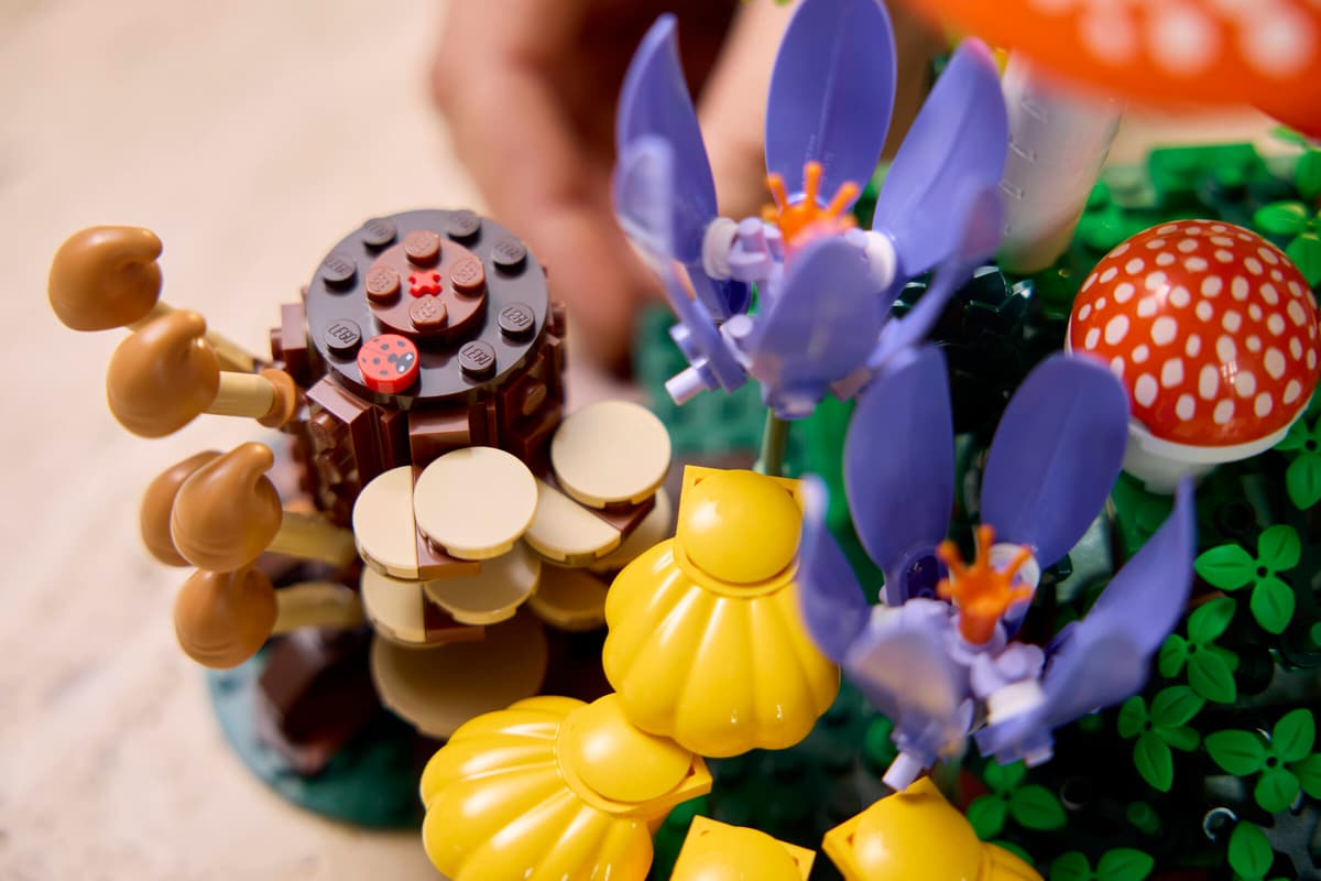 LEGO Botanicals Woodland Mushrooms (11505) | Botanicals Building Set for Ages 8+