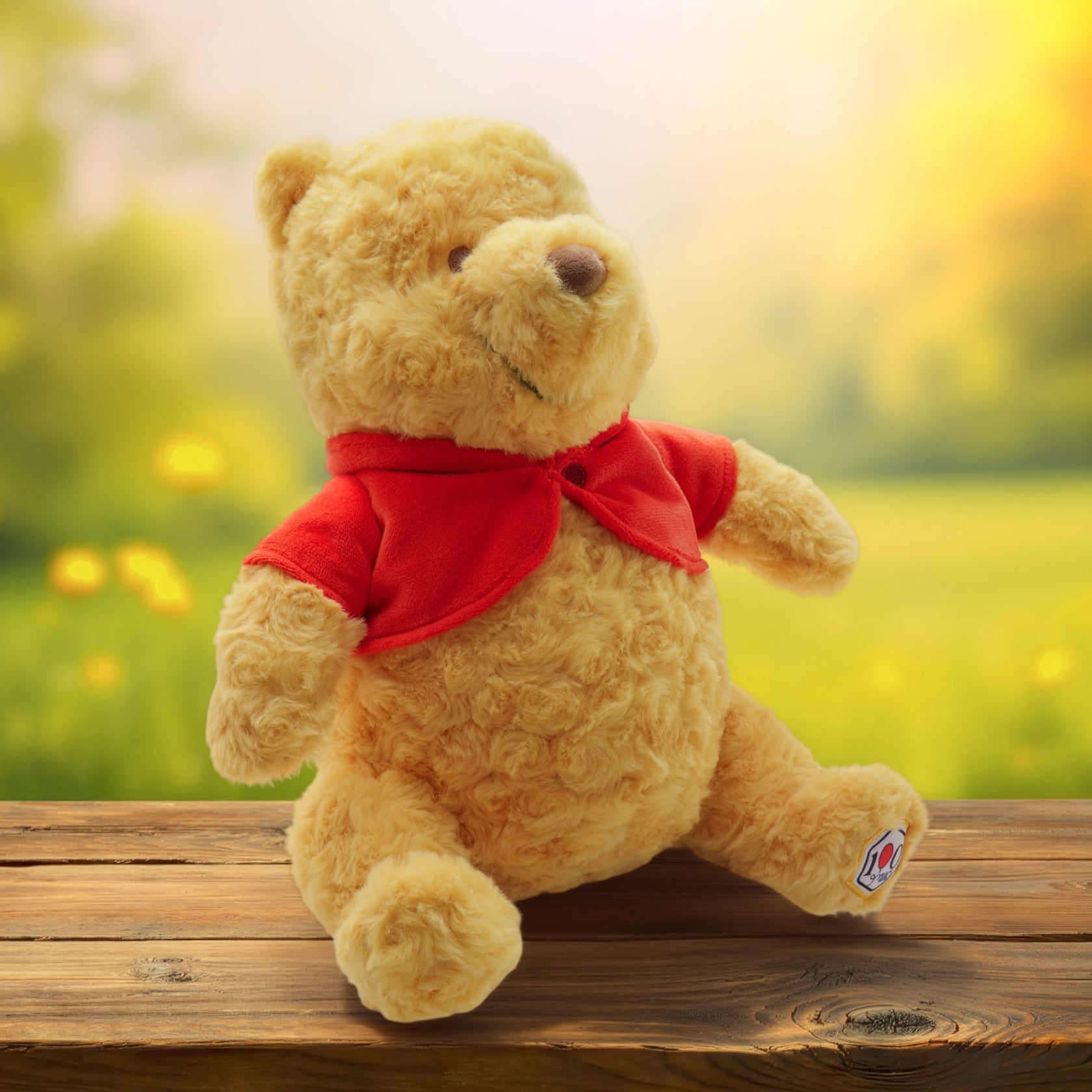 Disney Winnie the Pooh 100th Anniversary Plush – Rose Velvet with Embroidered Patch