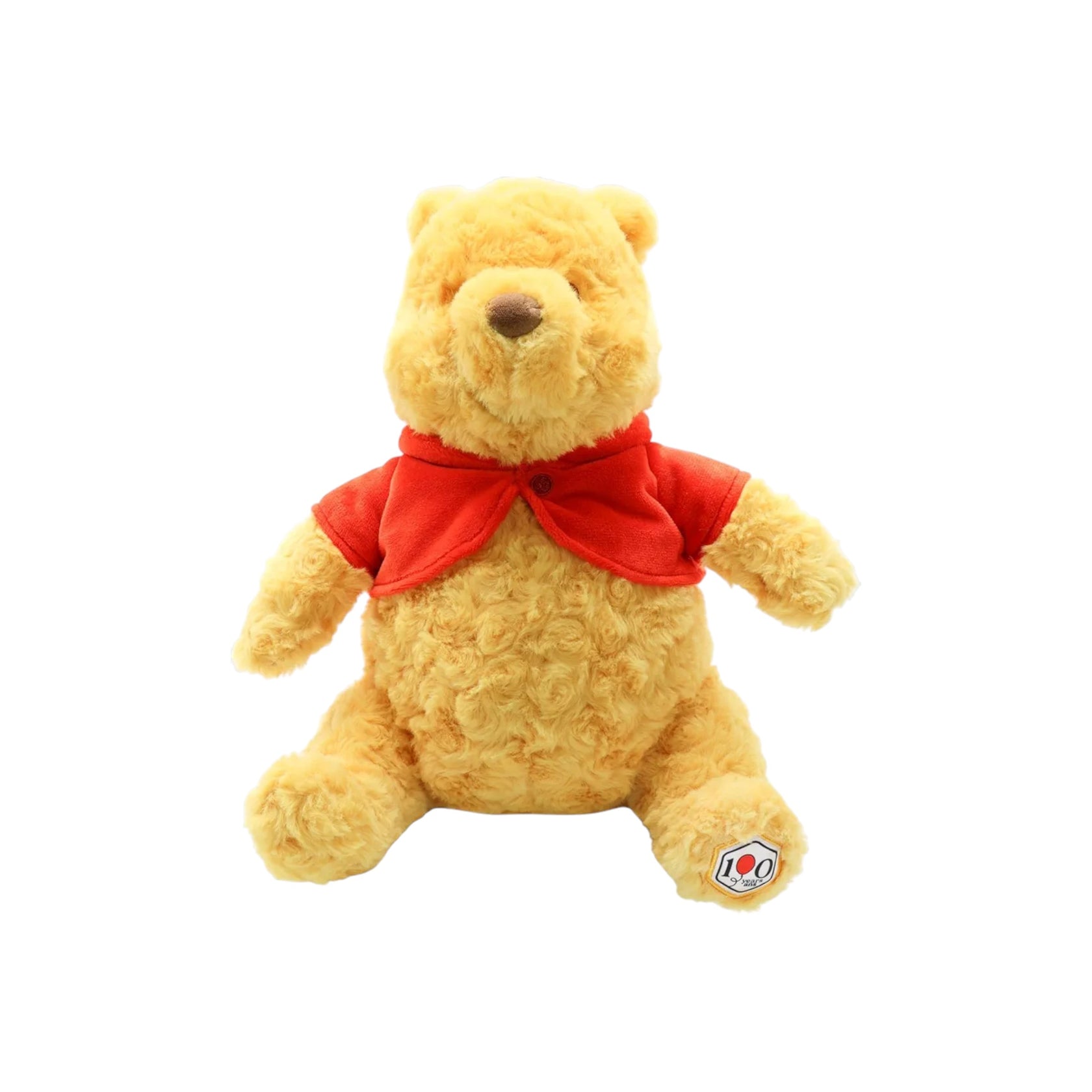 Disney Winnie the Pooh 100th Anniversary Plush – Rose Velvet with Embroidered Patch