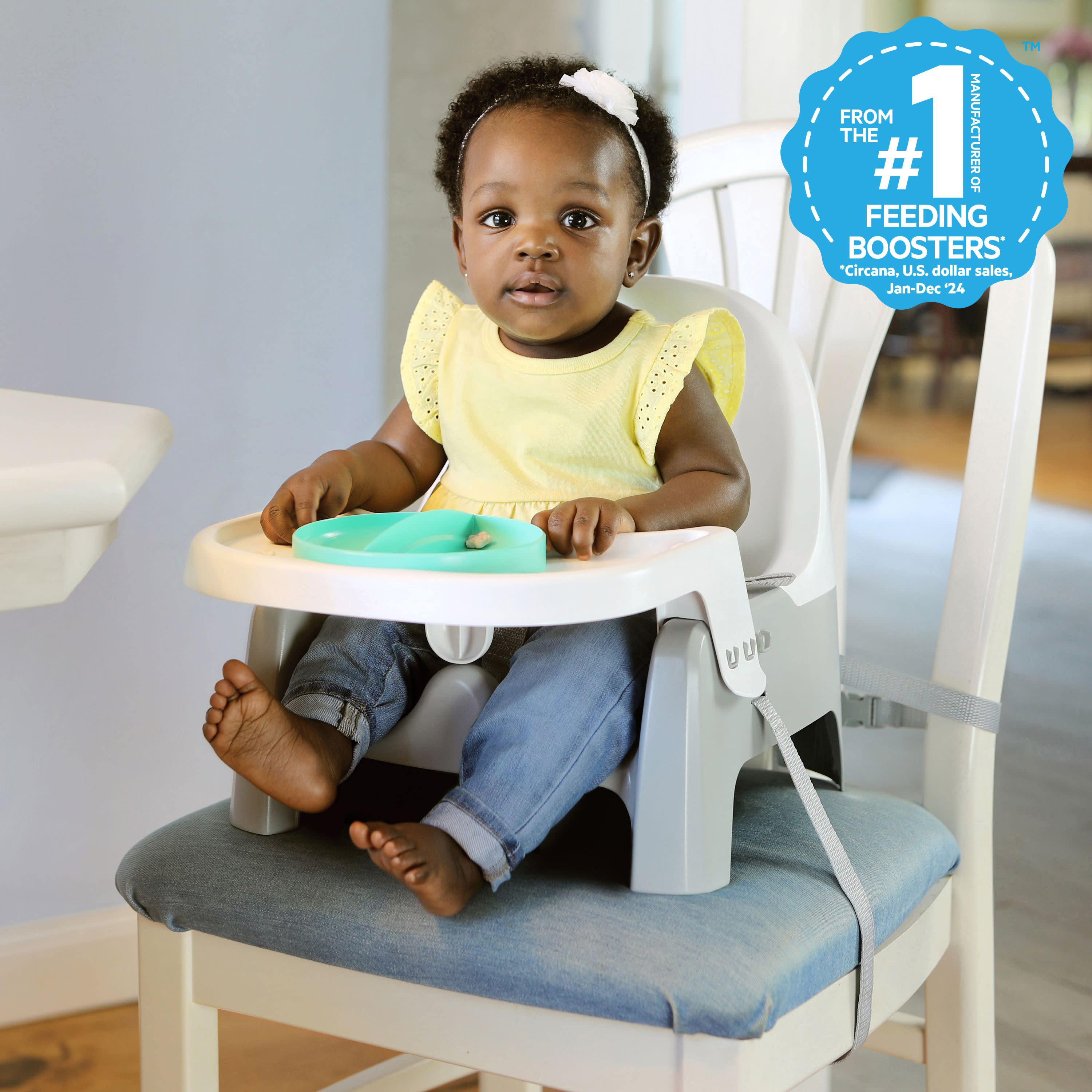 Ingenuity Deluxe Learn-to-Dine Feeding Seat