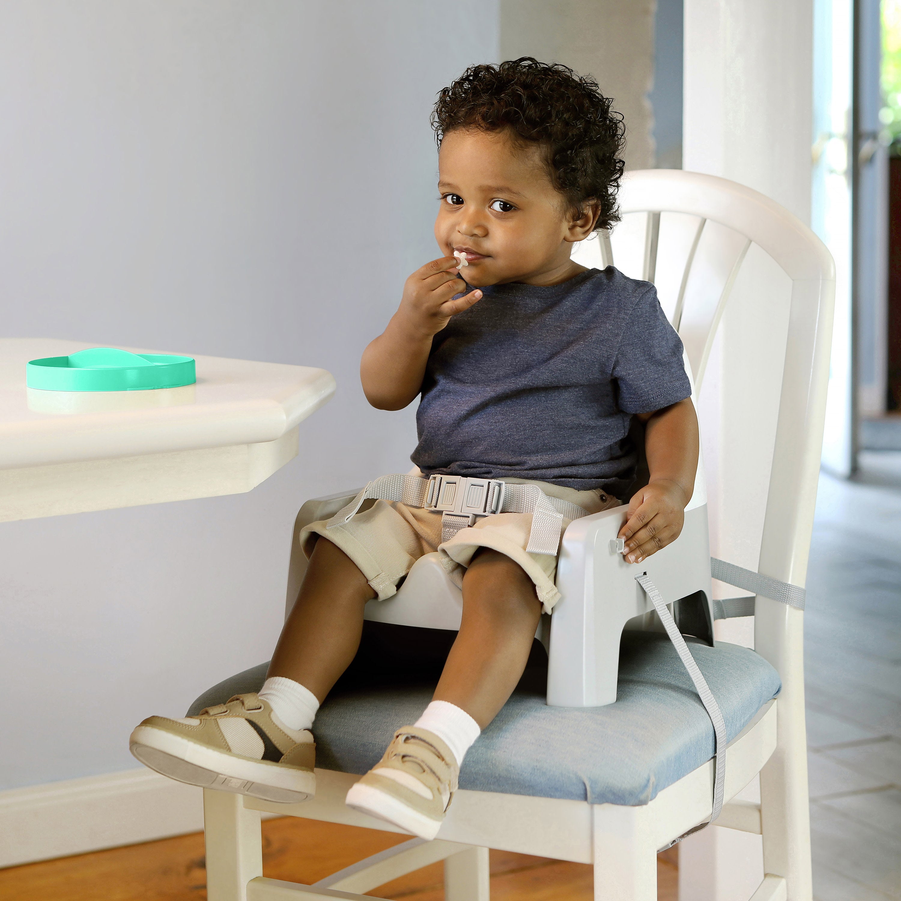 Ingenuity Deluxe Learn-to-Dine Feeding Seat