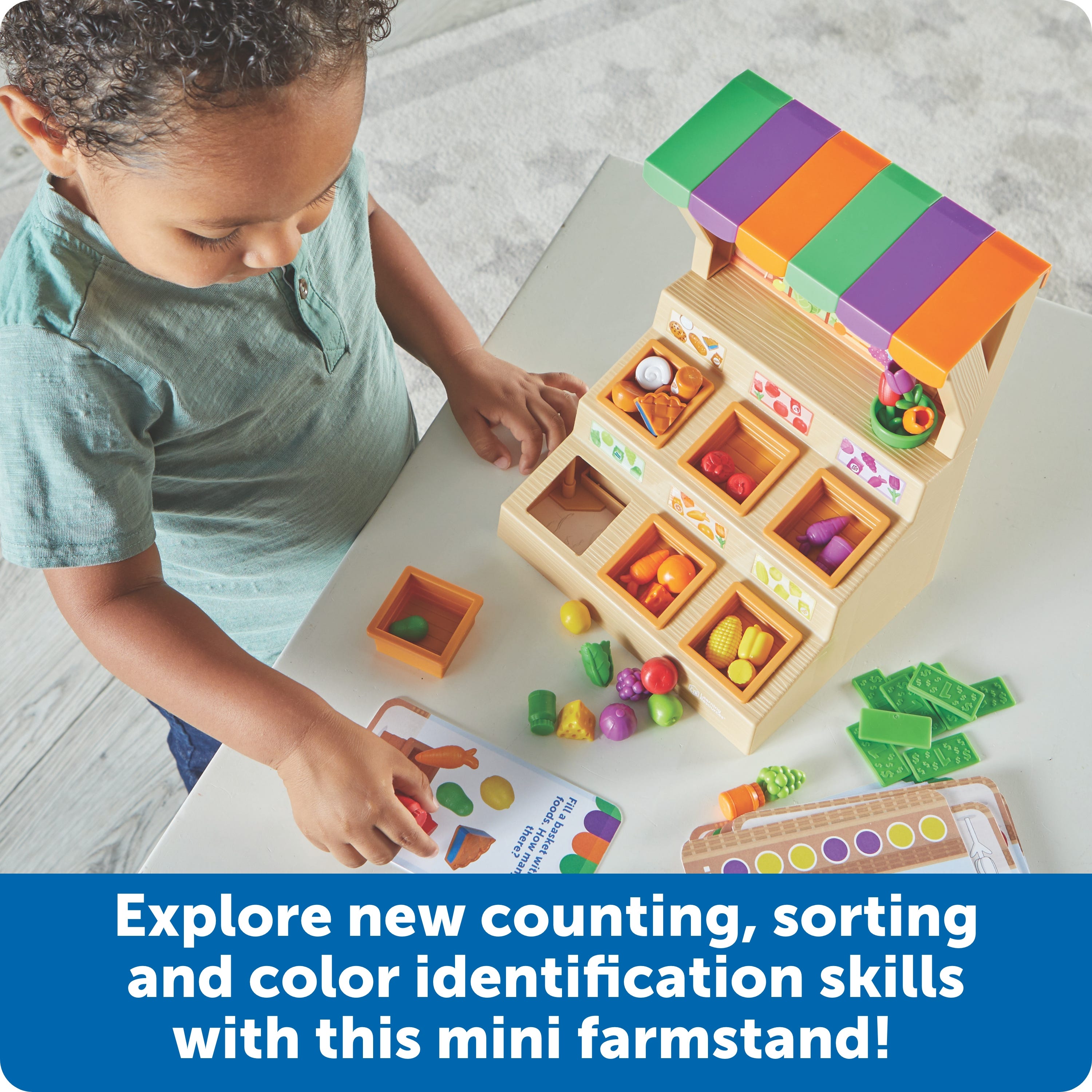 Learning Resources Mini Farmstand Sorting Set
