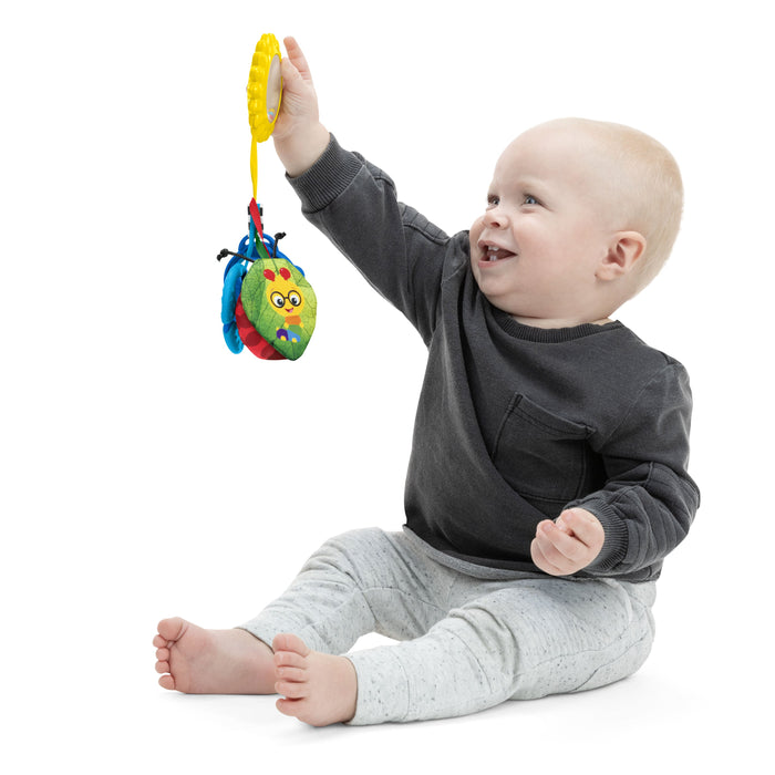 Baby Einstein Touch of Nature Sensory Toy