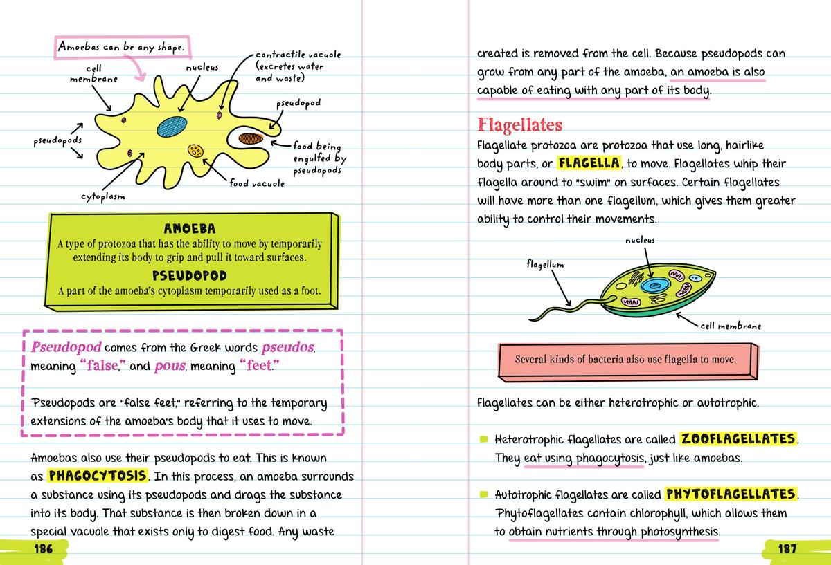 Everything You Need to Ace Biology in One Big Fat Notebook