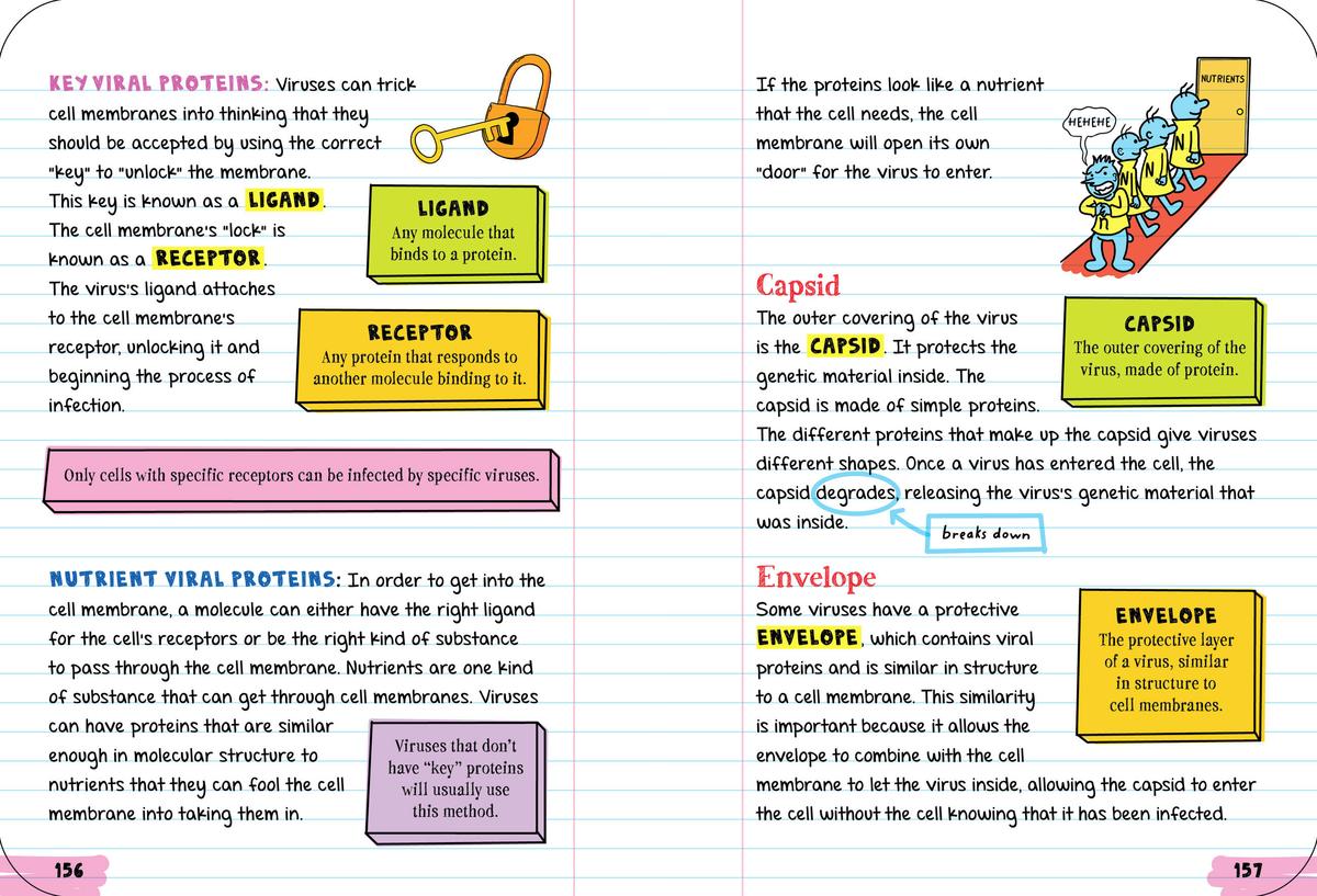 Everything You Need to Ace Biology in One Big Fat Notebook