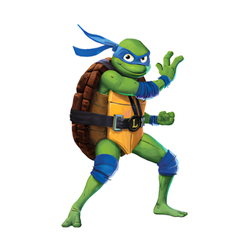 Teenage Mutant Ninja Turtles