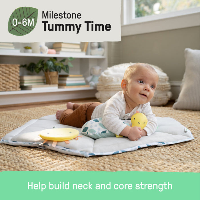 Tummy to Toes™ 6-in-1 Milestones Center