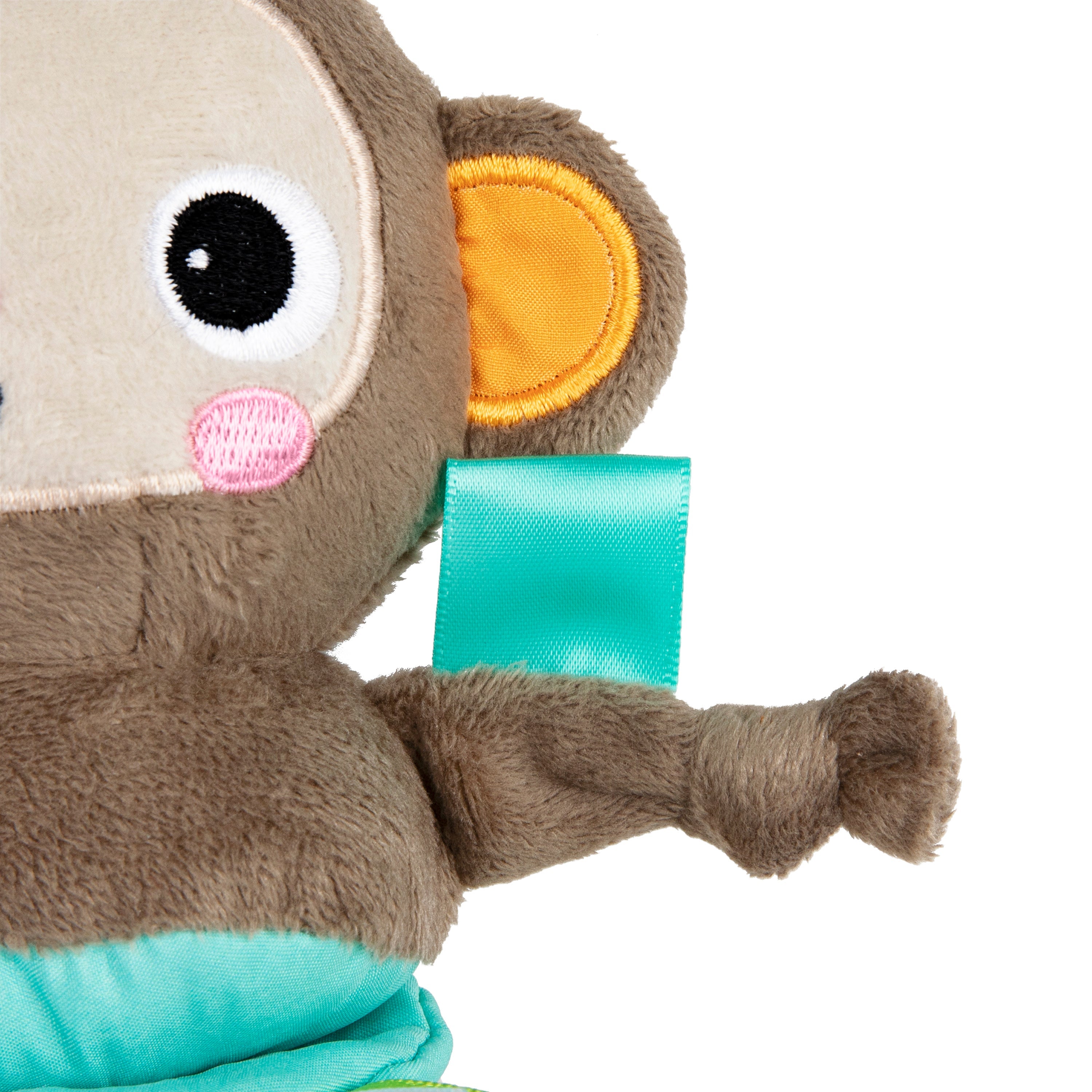Bright Starts Pull, Play ’n Boogie Musical Activity Toy - Monkey