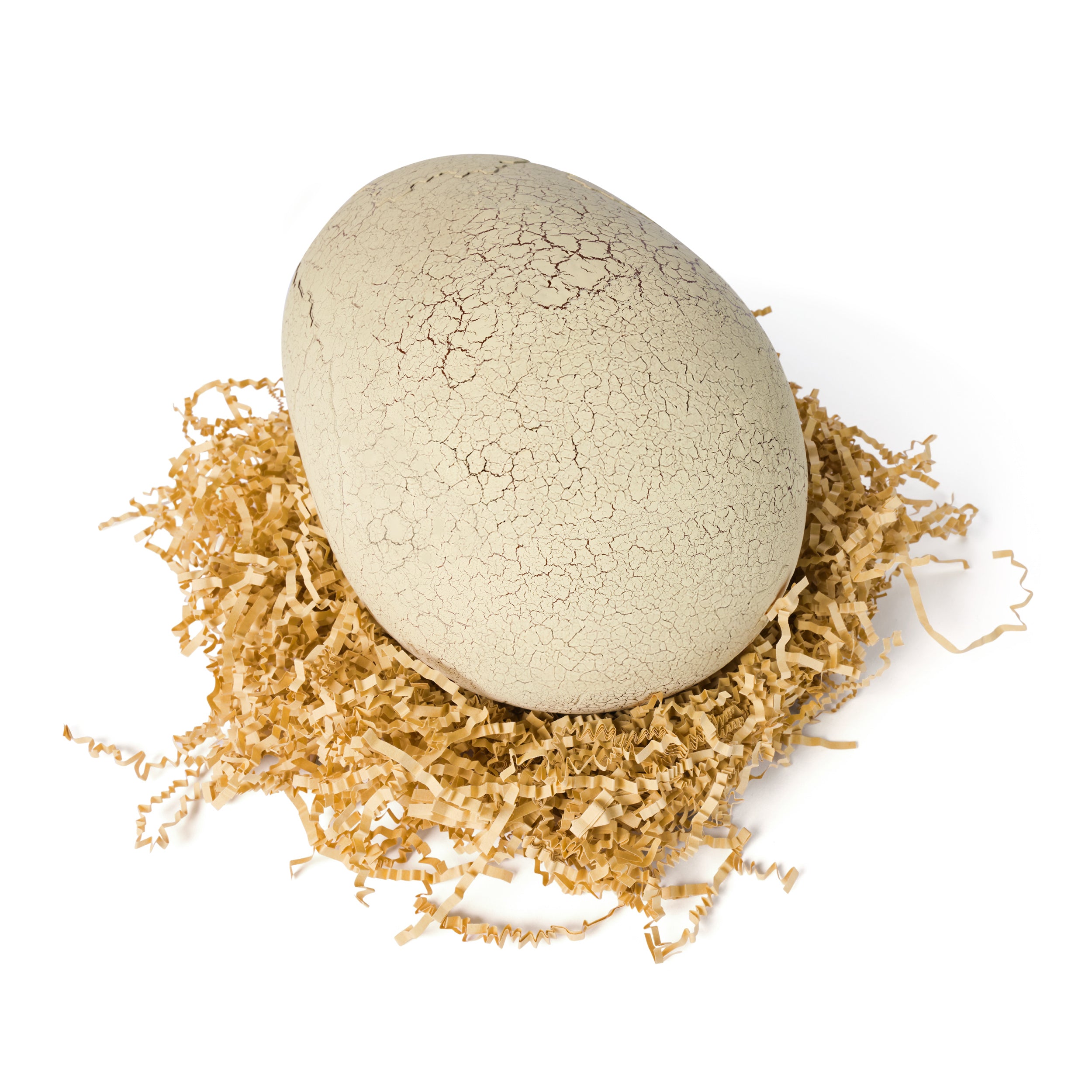 Spin Master Jurassic World Primal Hatch Interactive Hatching T-Rex – Hatch, Train & Raise Your Own Baby Dinosaur with 100+ Sounds (Ages 5+)
