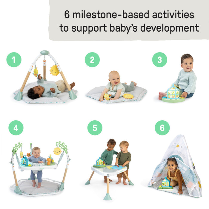 Tummy to Toes™ 6-in-1 Milestones Center